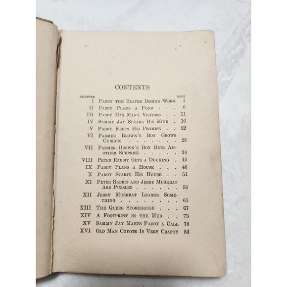 Adventures of Paddy the Beaver - 1917 Hardcover Edition - Picture 6 of 7